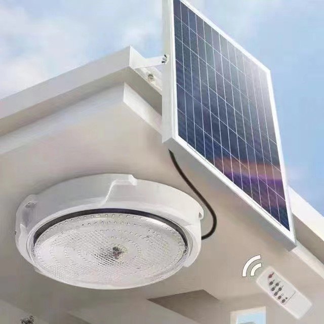 2024 New Outdoor Ceiling Light Modern Design for Enhanced Outdoor Ambiance