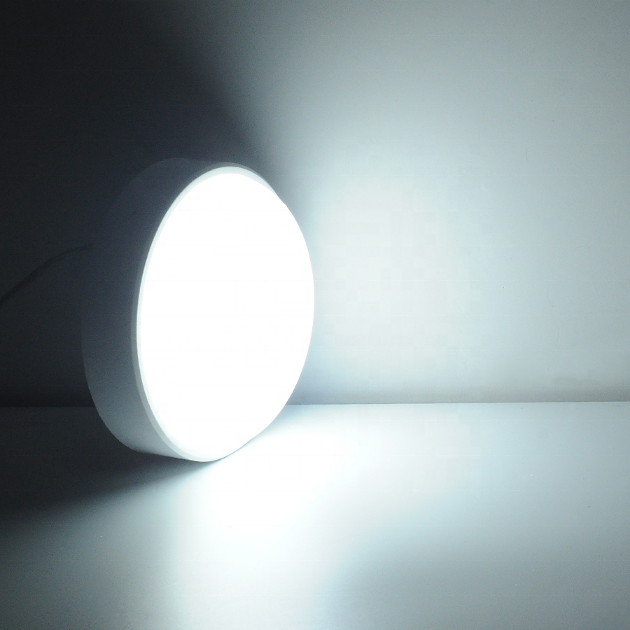 LED Ceiling Lamp Bathroom Ceiling Light 100-260V IP65 Surface Mounted Waterproof Light 20W Indoor Outdoor Corridor Lights