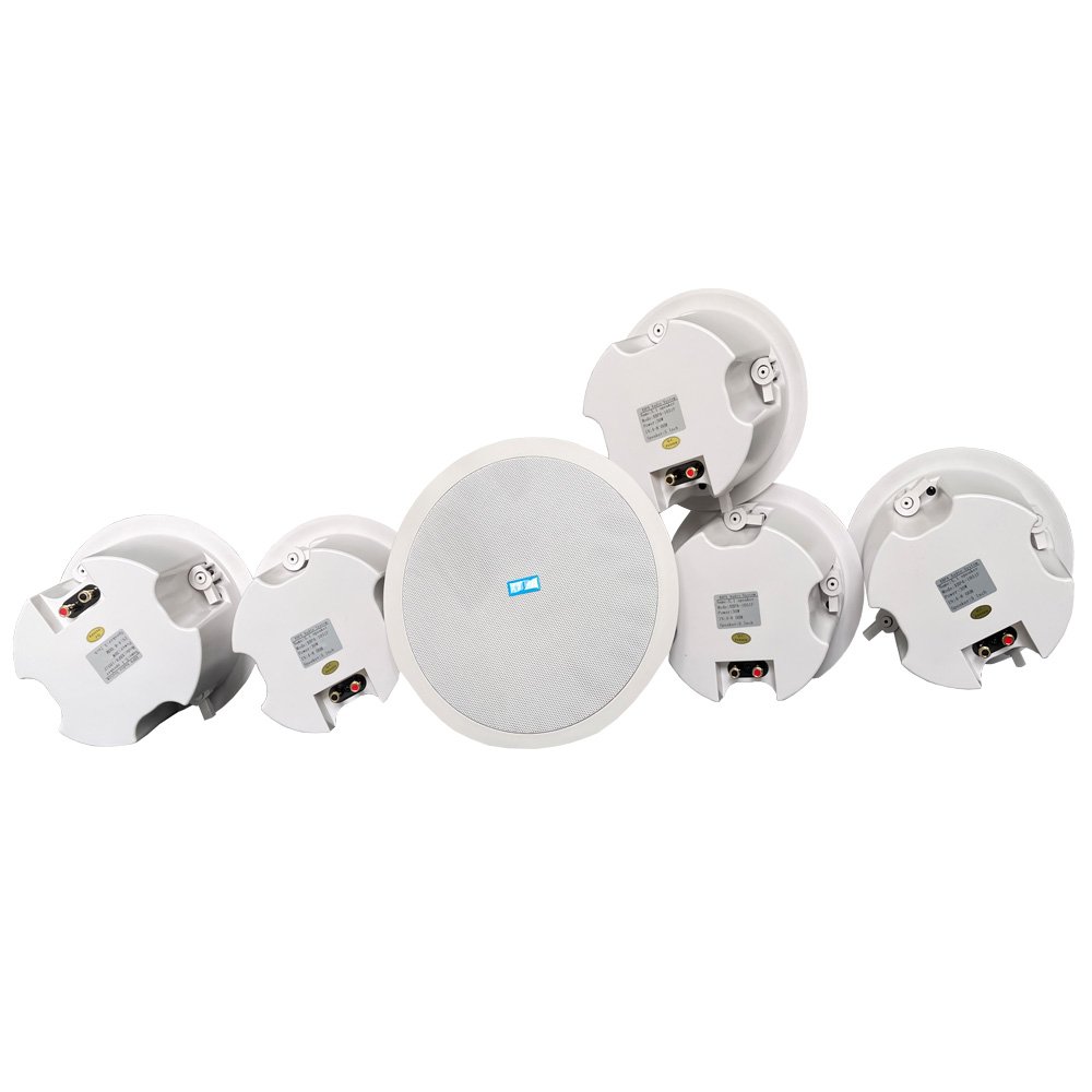 WiFi Ceiling Speaker (WiFi active speaker built-in 5.1 channel power amplifier, with bass output, no signal automatic standby)