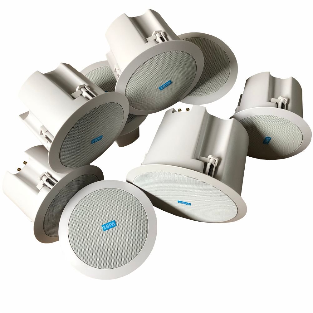 WiFi Ceiling Speaker (WiFi active speaker built-in 5.1 channel power amplifier, with bass output, no signal automatic standby)