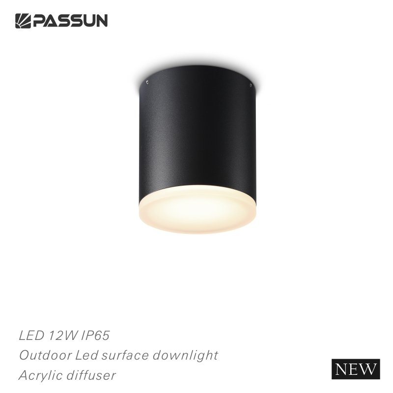 IP65 waterproof surface mounted cylinder 24w LED outdoor ceiling light for balcony or bathroom