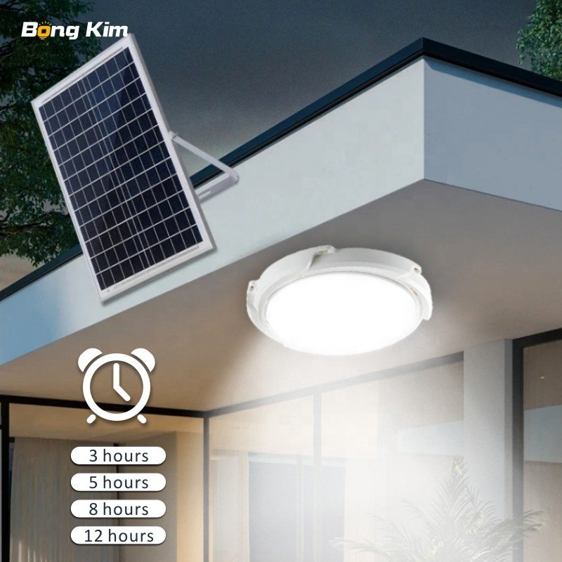 Bongkim hot selling products 2023 Waterproof Pathway outdoor solar ceiling light