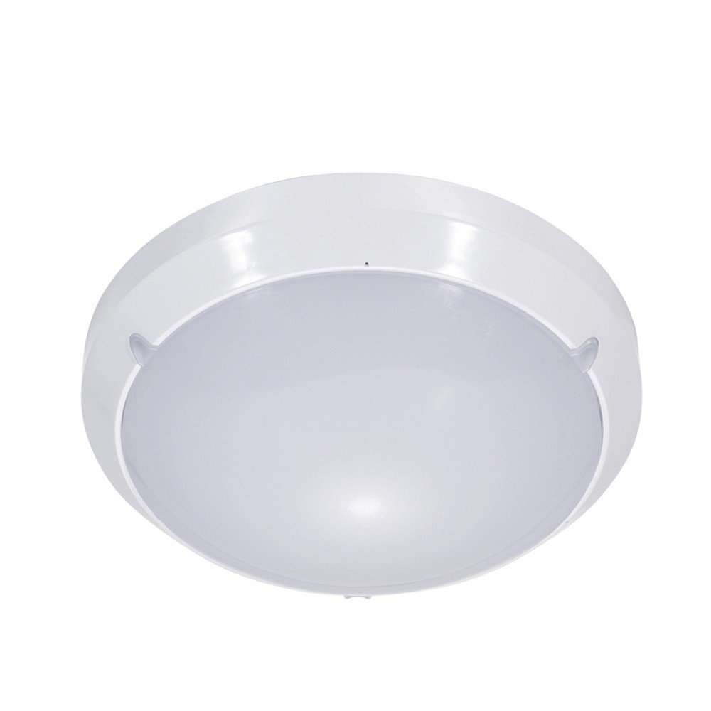 IK10 PC Ceiling Light Surface Mounted Lamp, IP65 Natural Light Outdoor Lamp Modern Design, Switch Control Lamp