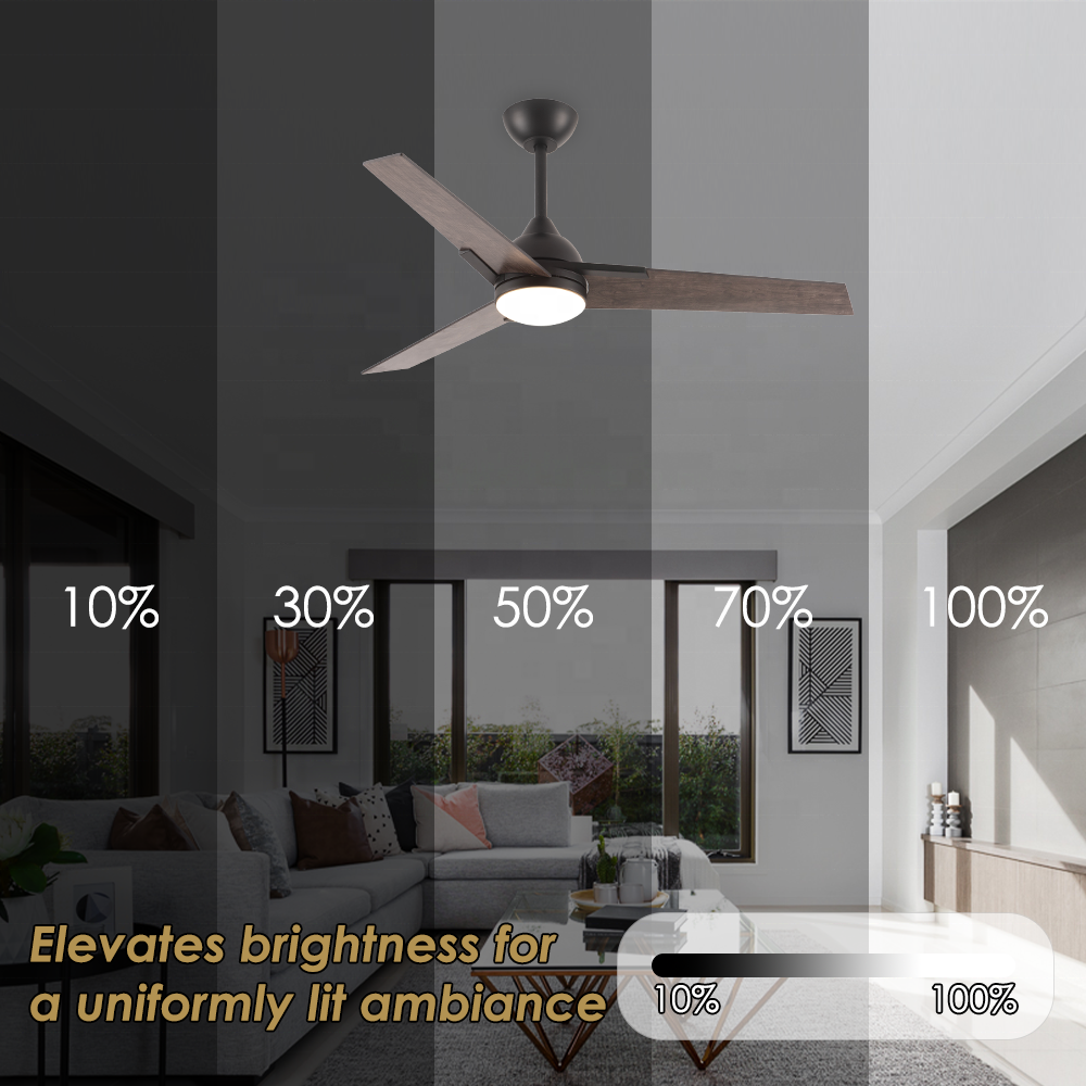 Stylish wholesale 52" modern decorative led ceiling fan BLDC Remote Control Ceiling Fan With Light