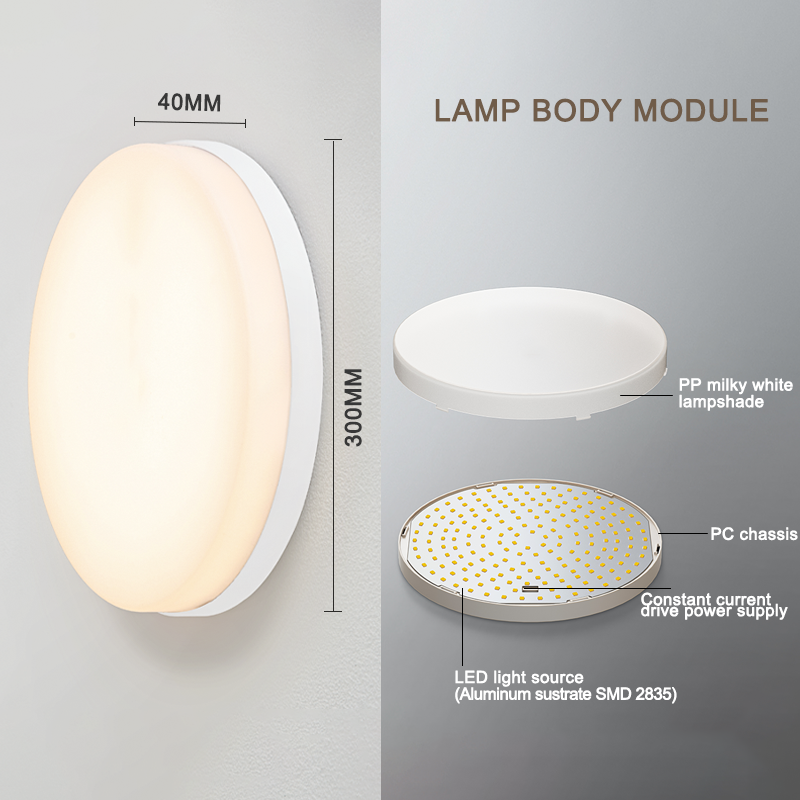 Best-selling round shape tall foyer indoor/outdoor waterproof modern lamps 85-265v home lighting led ceiling lights