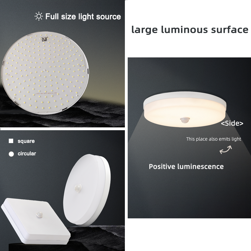Best-selling round shape tall foyer indoor/outdoor waterproof modern lamps 85-265v home lighting led ceiling lights
