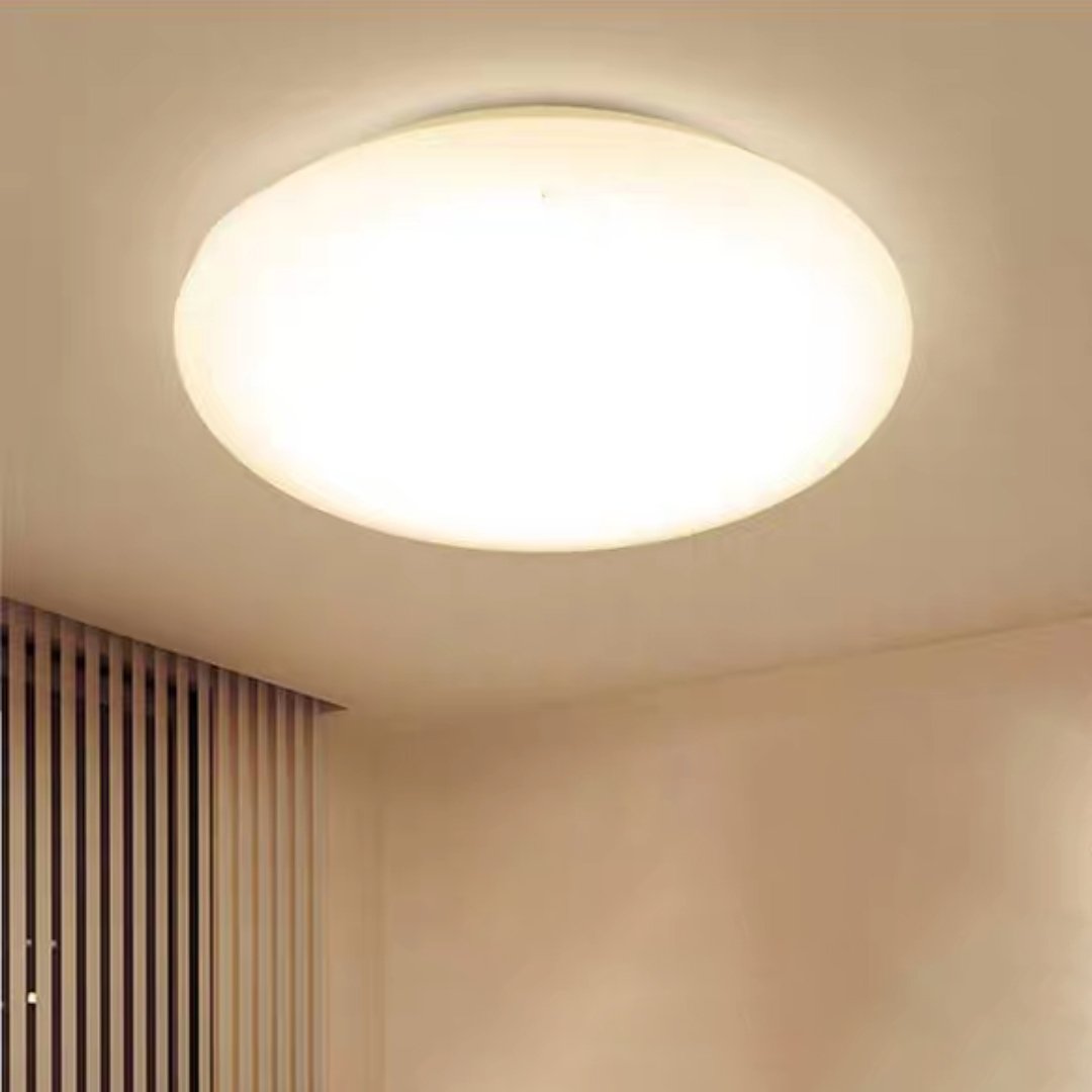 Smart Modern Surface Mounted Bedroom Living Room Light Ceiling Light Led Round Simple Body Ceiling Lamp
