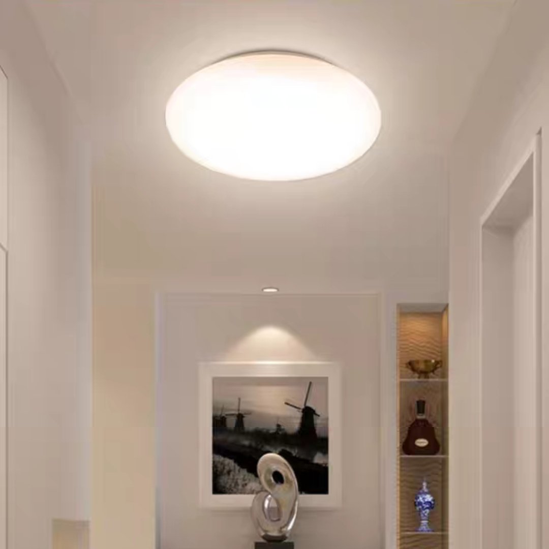 Smart Modern Surface Mounted Bedroom Living Room Light Ceiling Light Led Round Simple Body Ceiling Lamp