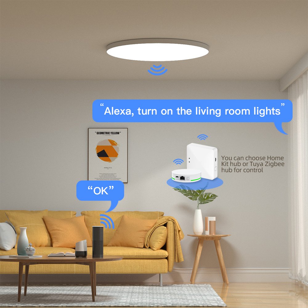 Zemismart 24W RGBCW Bathroom Lamp Alexa Google Home Homekit Surface Mounting Dimmable Light Tuya Zigbee Smart LED Ceiling Light