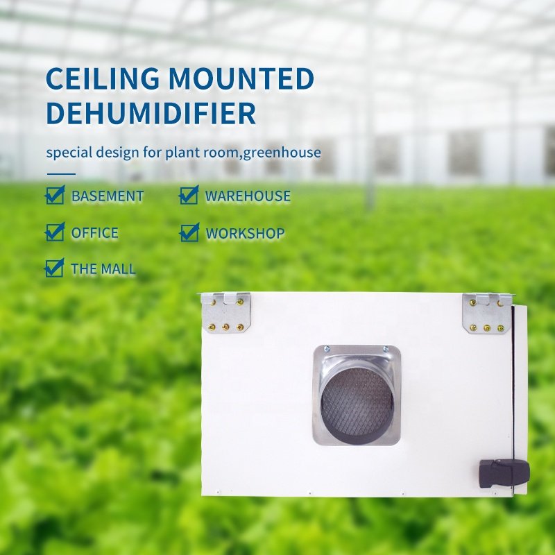 Electric 35 Liters per Day Ceiling Mounted Crawl Dehumidifier 35 L Duct Collar Household Outdoor Humidity Control Application