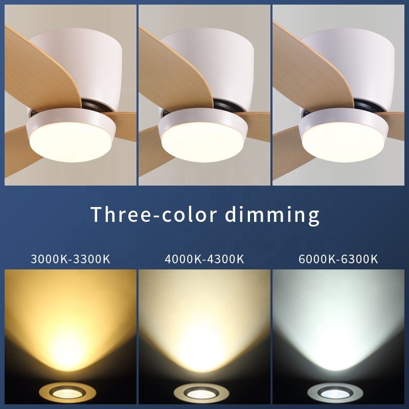 Dimmable Remote Control Led Ceiling Fan With Lamp Living Room Bedroom Decorative Modern Luxury Ceiling Fans Light
