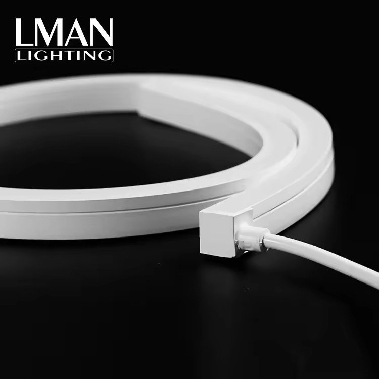 Outdoor Landscape Lighting Flexible Neon Strip IP67 Waterproof Multi Color SMD3014 LED Neon Strip Light