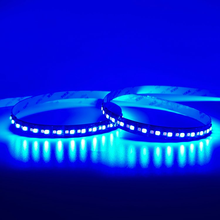 Wholesale Price 8mm Width DC 24V 10W SMD 5050 Flexible RGB WCW LED Strip Light