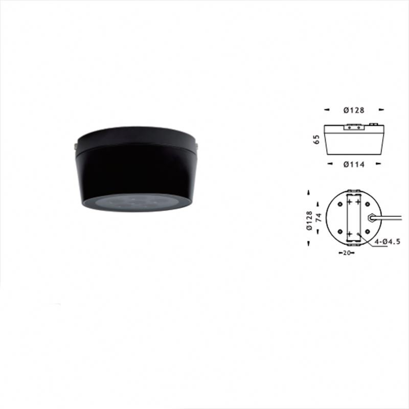 outdoor ceiling light linear modern AC220V IP65/IP66 surface mounted led outdoor ceiling light for garden/porch outdoor light