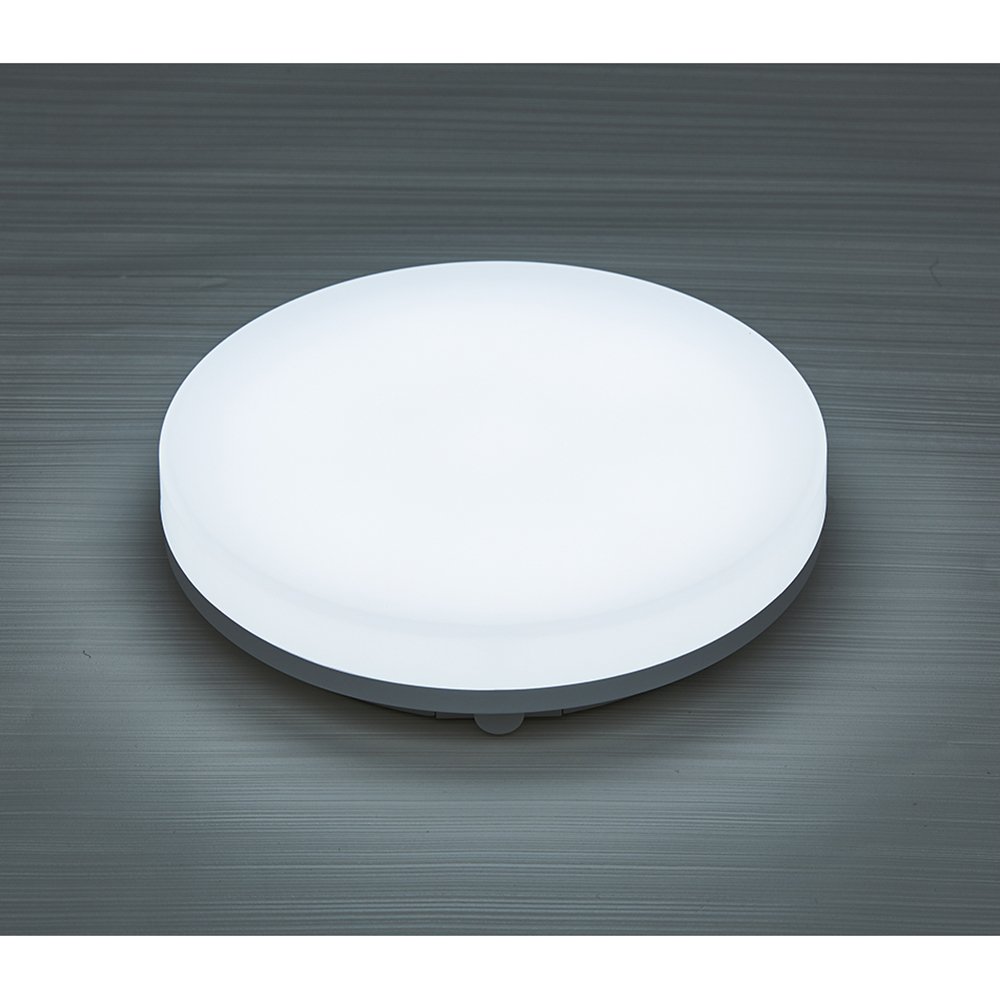 3CCT 24W LED IP54 Outdoor Flush Wall Ceiling Mounted Round Flat Bulkhead Light