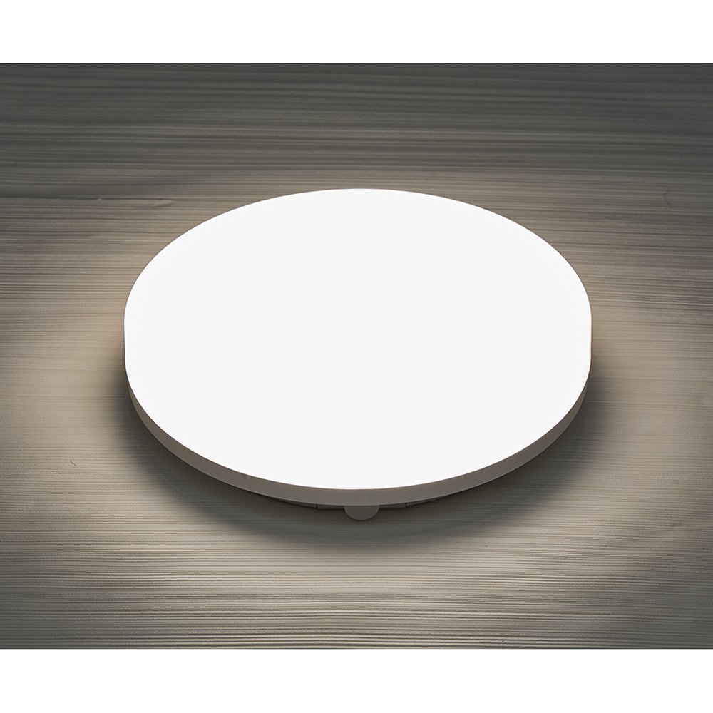 3CCT 24W LED IP54 Outdoor Flush Wall Ceiling Mounted Round Flat Bulkhead Light