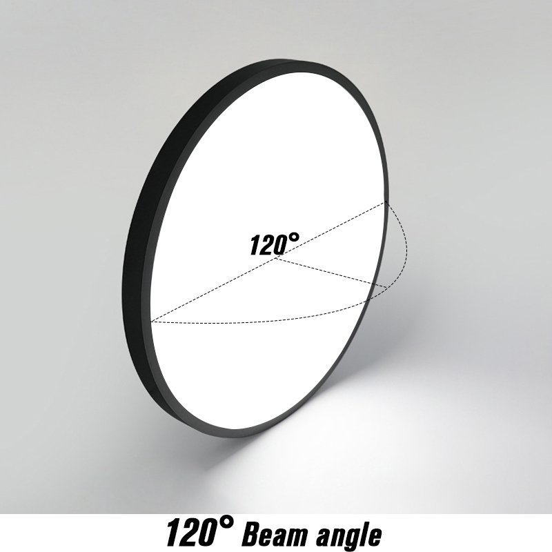 Minimalist Tri-proofIron Round White Black 24W 28W 38W 48W ABS Led Ceiling Lamps Modern Design For Bedroom Outdoor
