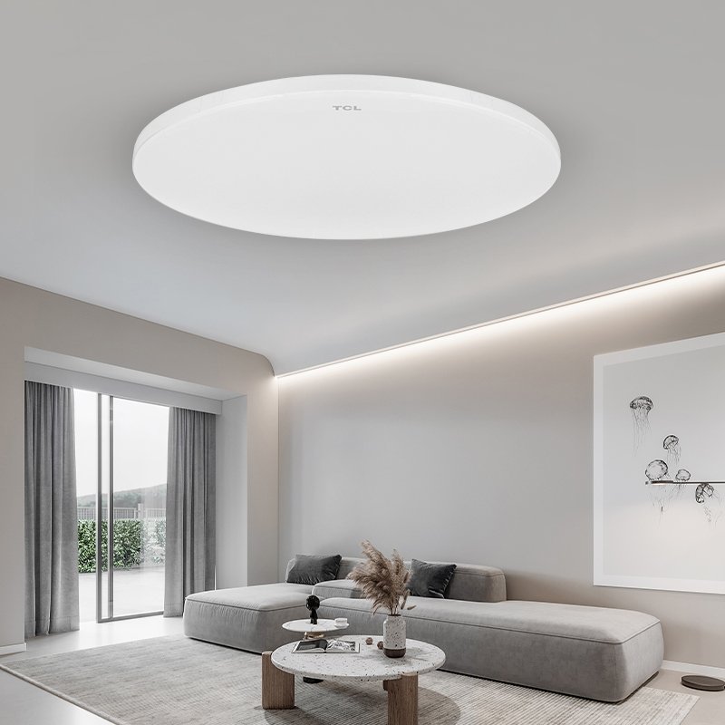 TCL simple trimless living room led lamps 12W 18W 24W IP40 3000K 4000K 6000K lighting for the ceiling