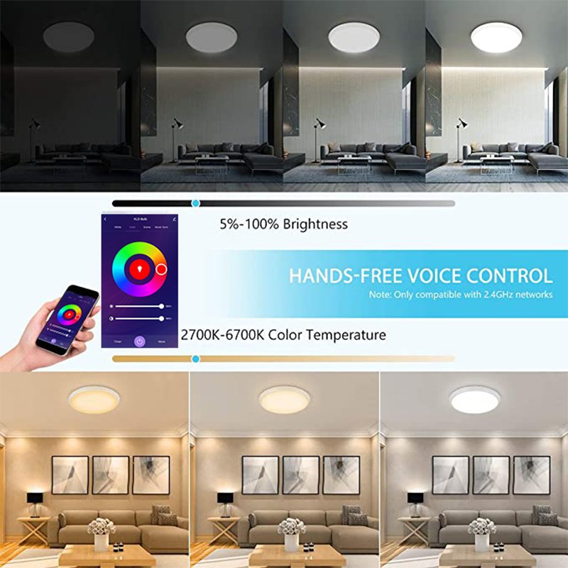 Touchmi Wholesale 220V 24W Smart outdoor Home lights tuya wifi Alexa Ceiling lamp Smart home products