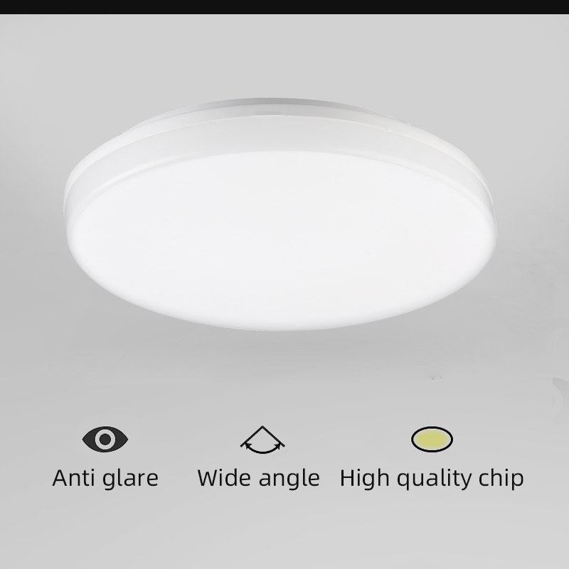 LED Moisture Proof Ceiling Lamp IP65 Waterproof Bathroom Outdoor Garden Yard Lamp 24W Round Wall Lamp Light
