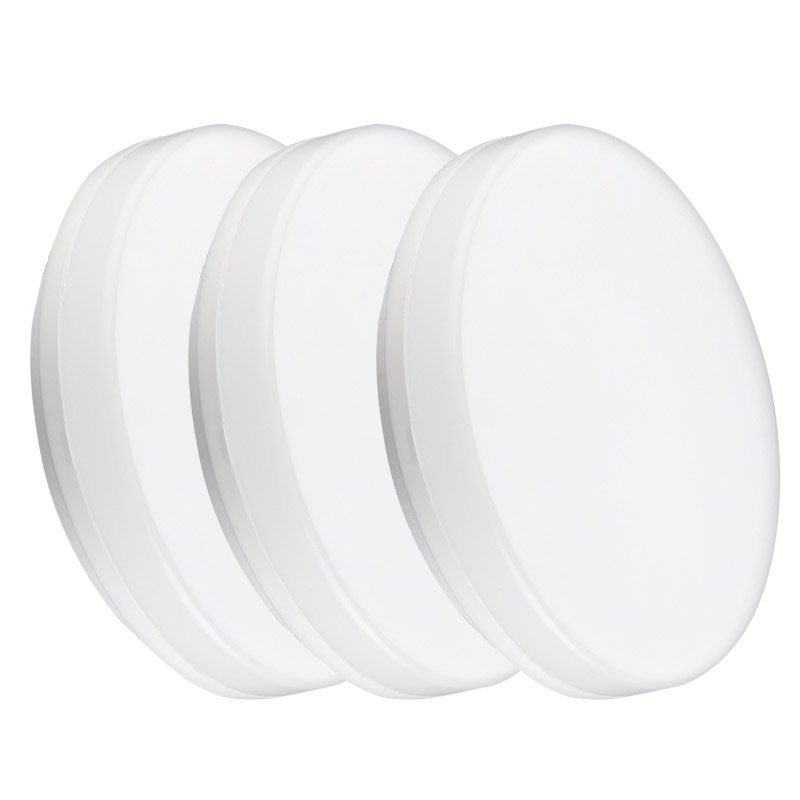 LED Moisture Proof Ceiling Lamp IP65 Waterproof Bathroom Outdoor Garden Yard Lamp 24W Round Wall Lamp Light