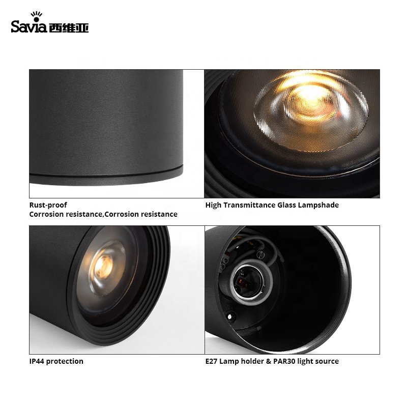 Savia E27 IP44 waterproof decorative round light surface mounted led ceiling lights downlight for staircase/corridor