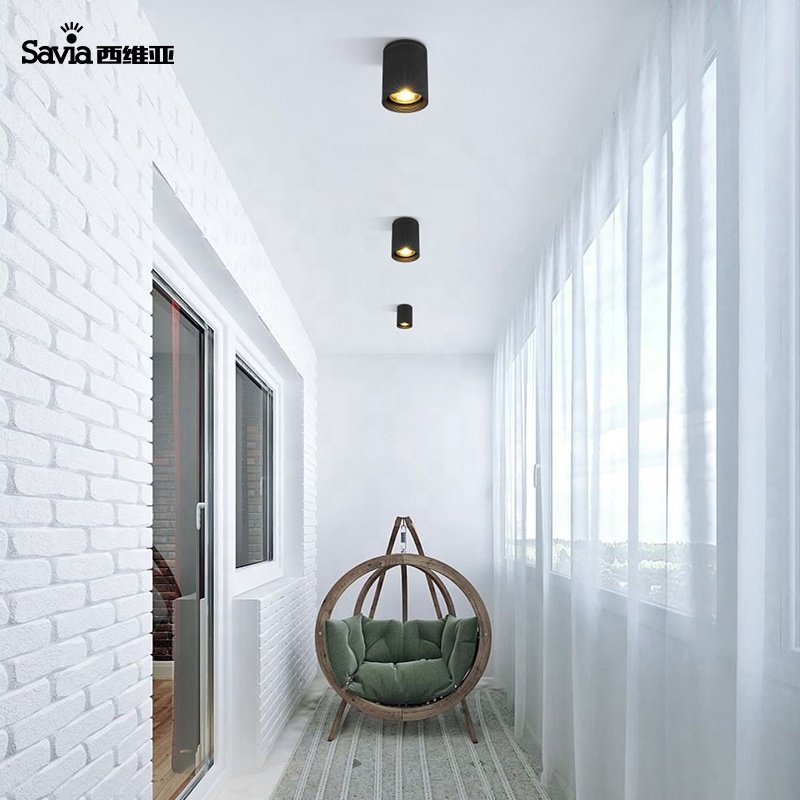 Savia E27 IP44 waterproof decorative round light surface mounted led ceiling lights downlight for staircase/corridor