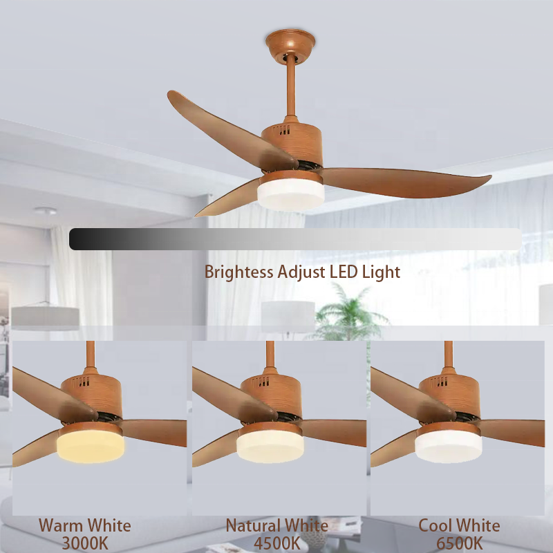 Hot Selling factory ventilateur 3 Abs Blade BLDC Dc Motor Remote Control Decoration Led Ceiling Fan Light