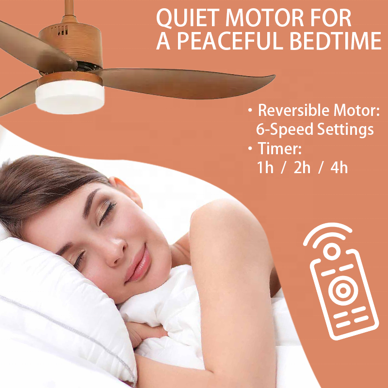 Hot Selling factory ventilateur 3 Abs Blade BLDC Dc Motor Remote Control Decoration Led Ceiling Fan Light