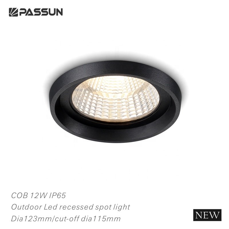 Passun exterior outside ip65 waterproof aluminum ceiling recessed outdoor LED down light spot light