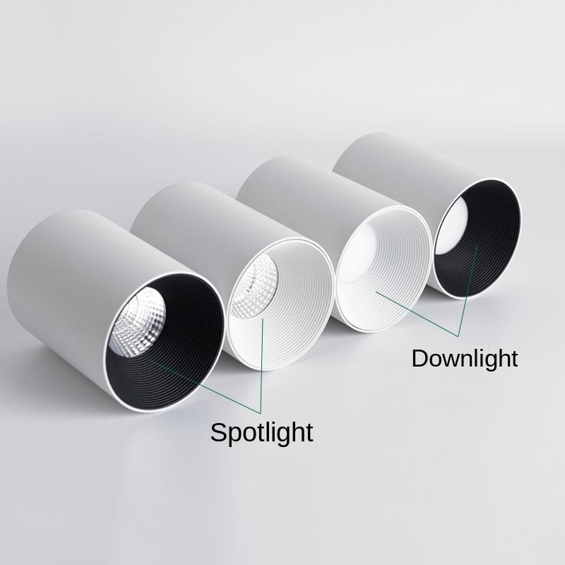 Modern Style Outdoor Light AC 85-265V 20W 30W 40W Surface Mounted Waterproof IP65 COB Ceiling Downlight For Hotel Project