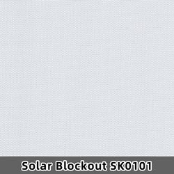 SK0101