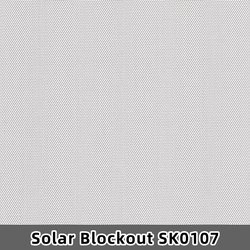 SK0107