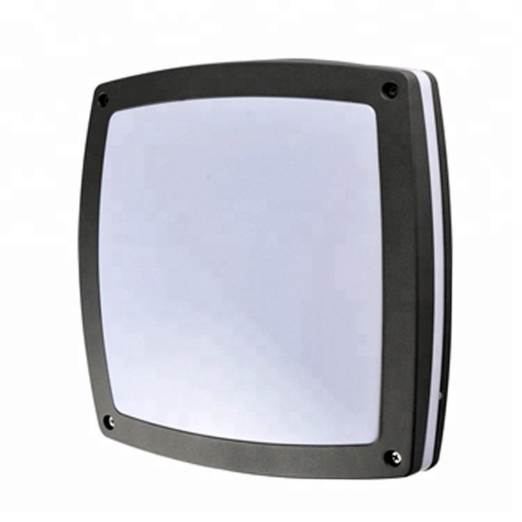IP65 IK10 10W/20W/30W Waterproof Outdoor Ceiling Light 30W LED Ceiling Light for Outdoor