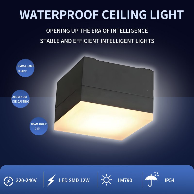 Modern contracted wind indoor and outdoor led corridor ceiling light