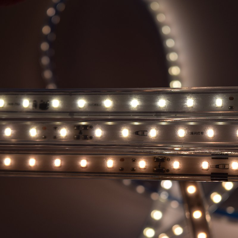 High Brightness Led Strip Light Outdoor Waterproof Tape Strip 220V AC