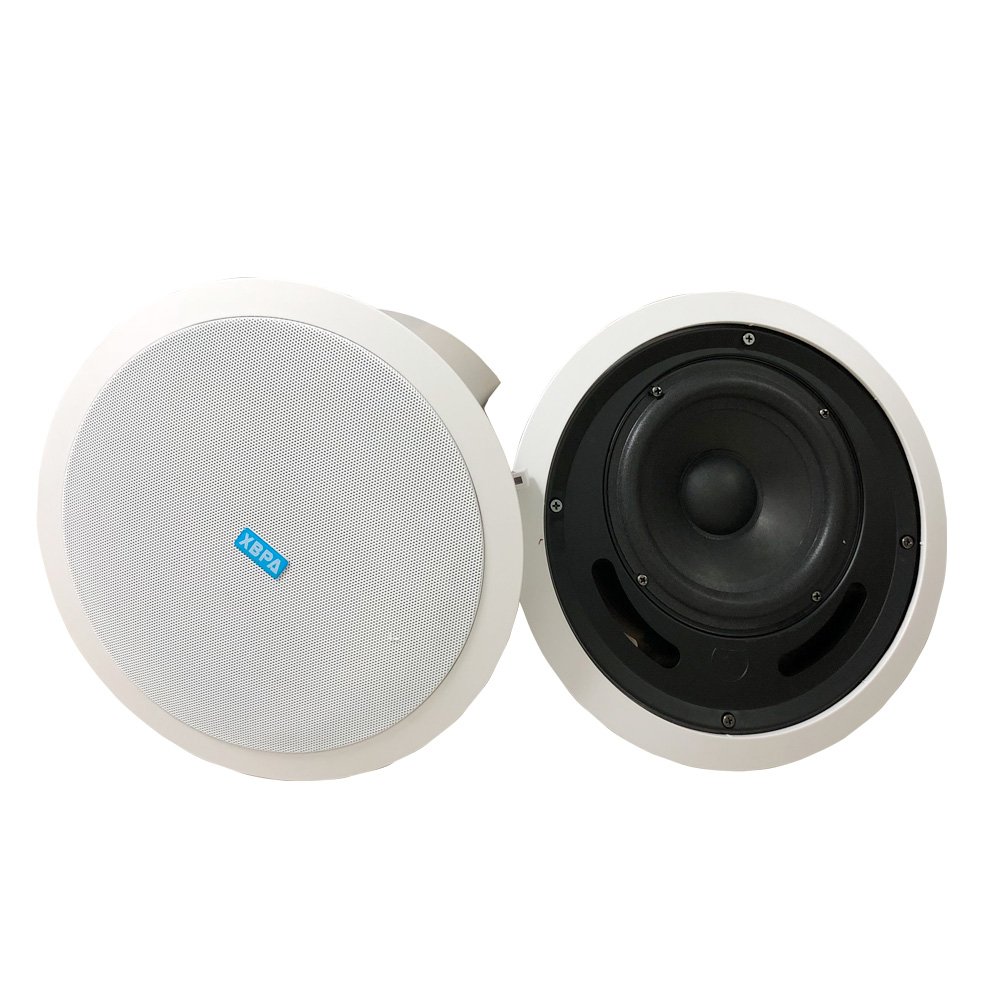 Bedroom, living room, kitchen, bathroom, multi room SON OS in-ceiling speaker. Play different speaker