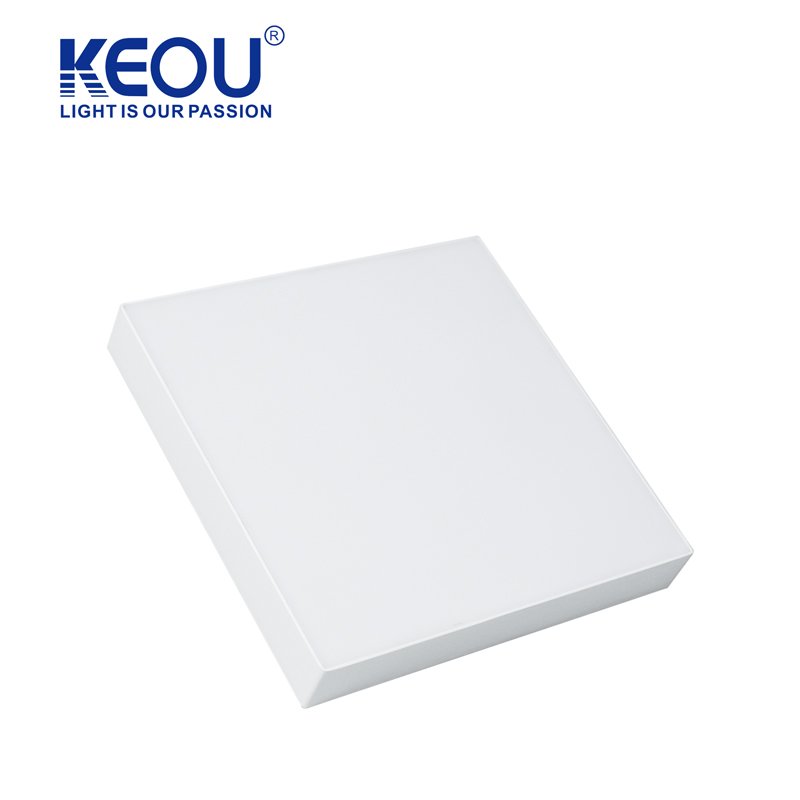 Keou 24W 36W 48W Surface Mounted Ceiling Lamp White Natural Ceiling Light