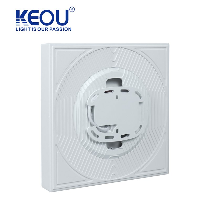 Keou 24W 36W 48W Surface Mounted Ceiling Lamp White Natural Ceiling Light