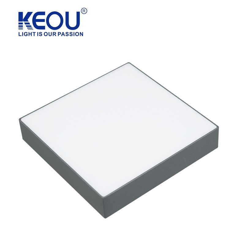 Keou 24W 36W 48W Surface Mounted Ceiling Lamp White Natural Ceiling Light