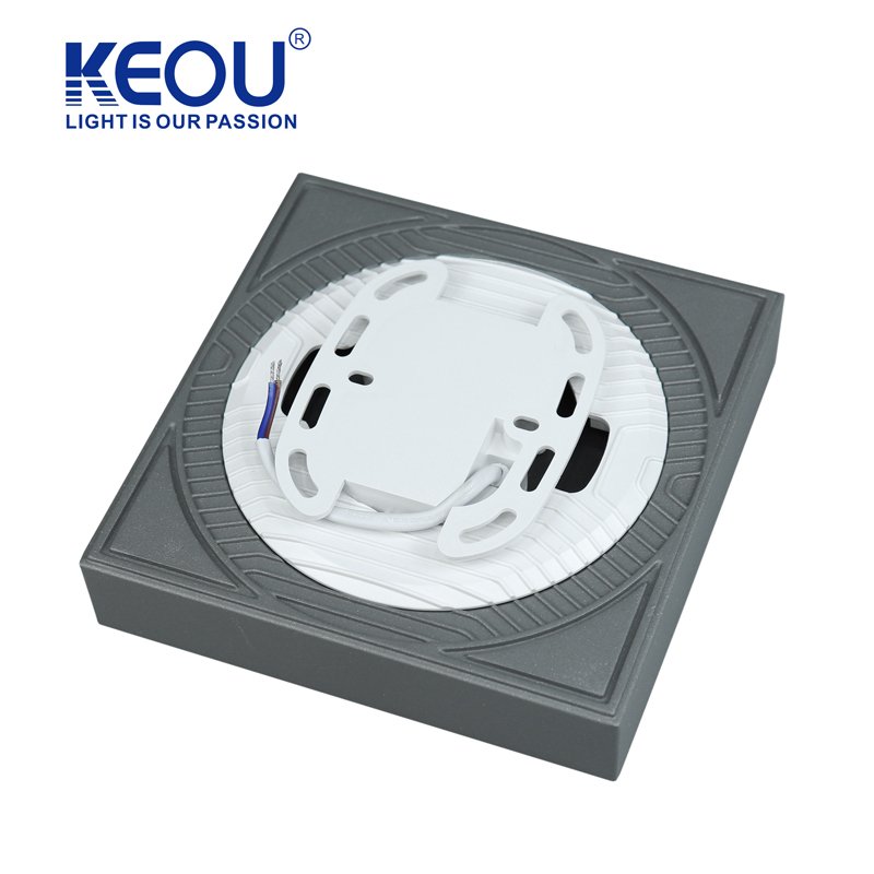 Keou 24W 36W 48W Surface Mounted Ceiling Lamp White Natural Ceiling Light