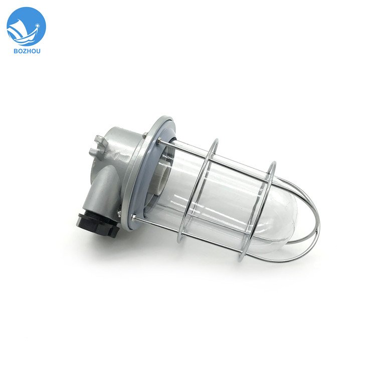 CCD6-2B 220V 60W Great Aluminum Marine Incandescent Pendant Light Outdoor Ceiling Light