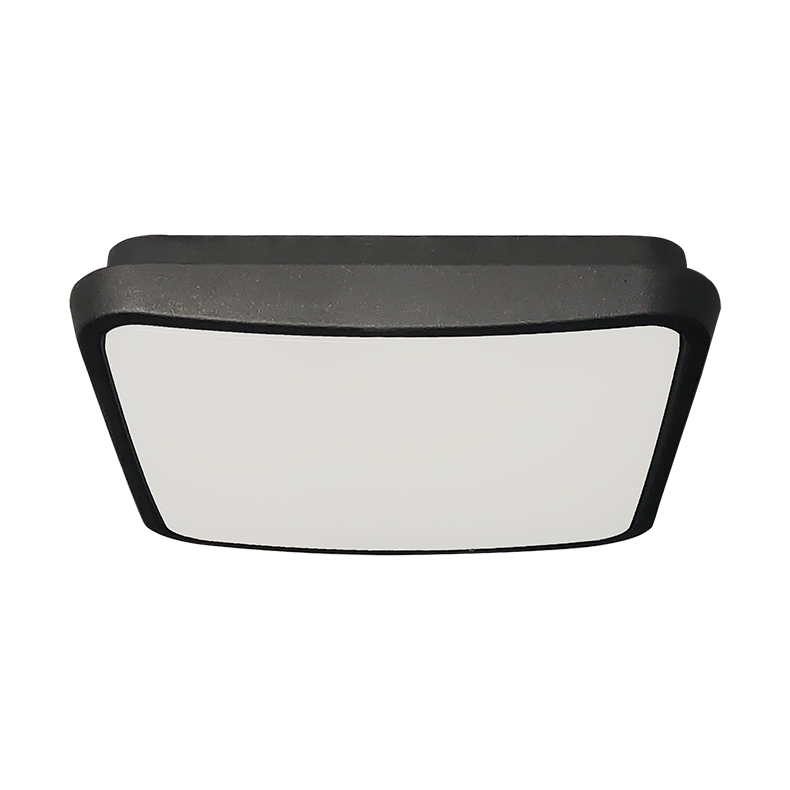 Indoor and outdoor universal LED wall lamp, surface mounted ceiling wall lamp