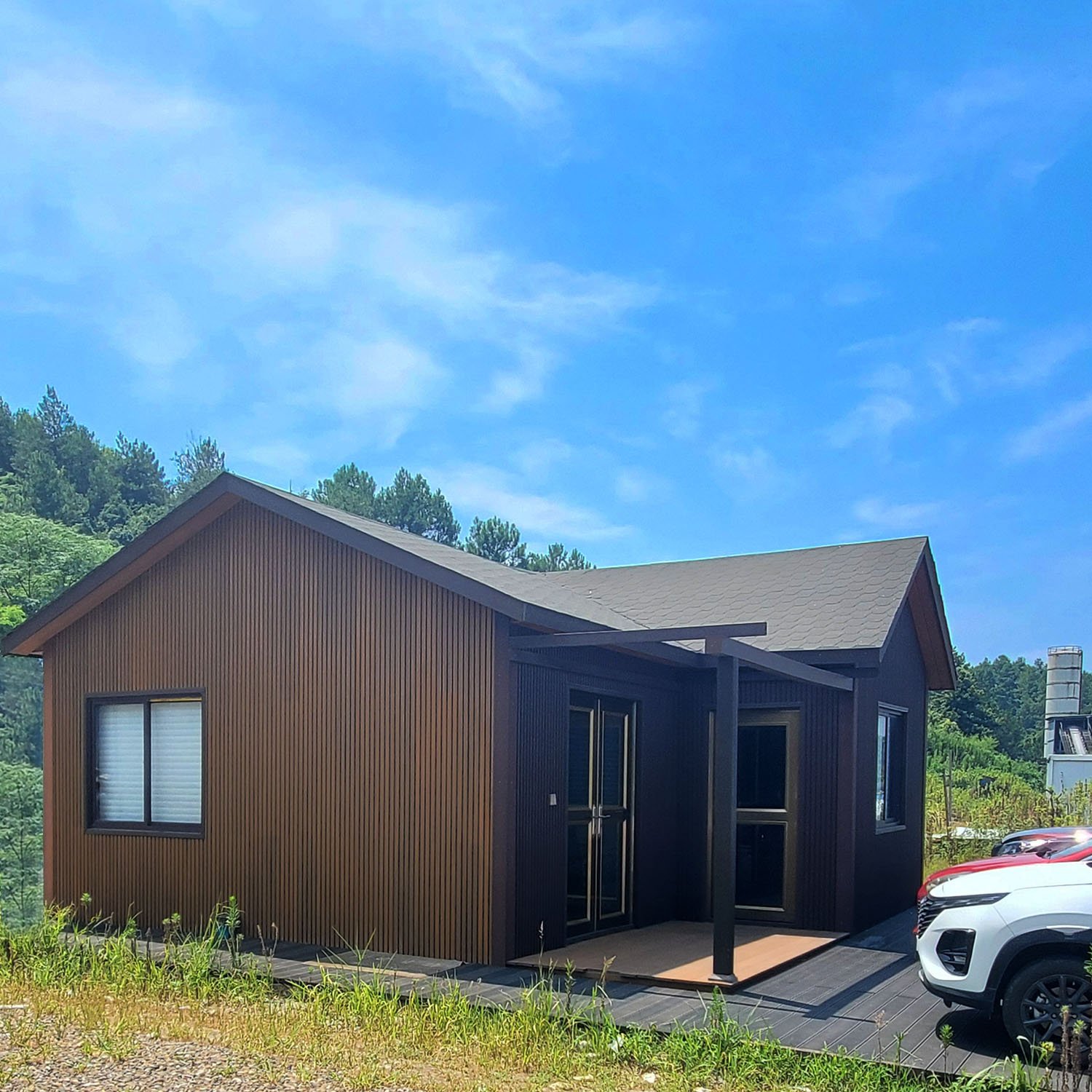wood plastic composite wall cladding Decorative charcoal board Outdoor exterior wpc wall panel Co Extrusion Great Wall Ceiling