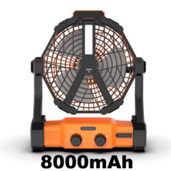 8000mAh