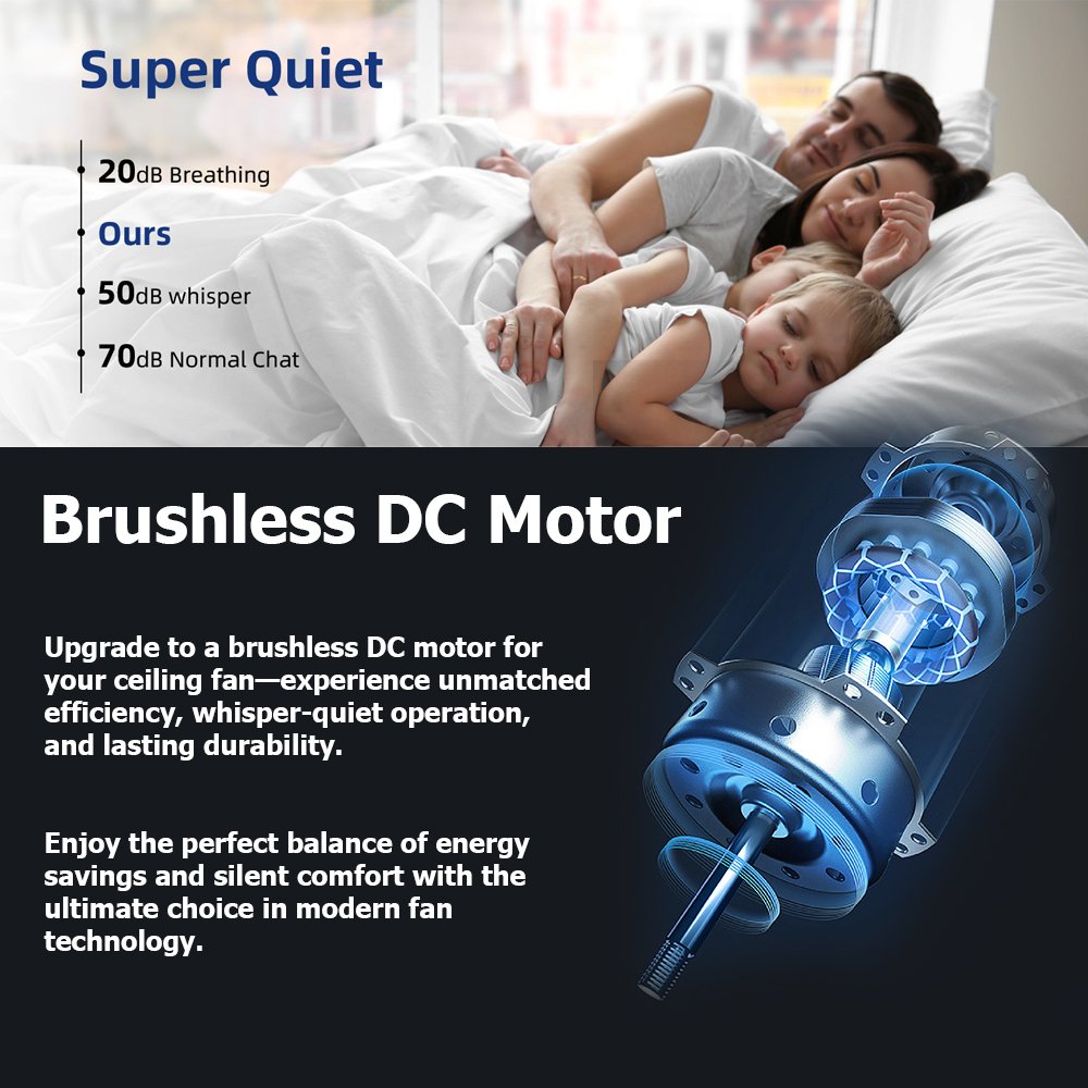 Outdoor/Indoor 52 Inch Downrod Mount Ceiling Fans with 3 Dimmable Lights and Remote, Reversible Quiet DC Motor & 3 ABS Blades