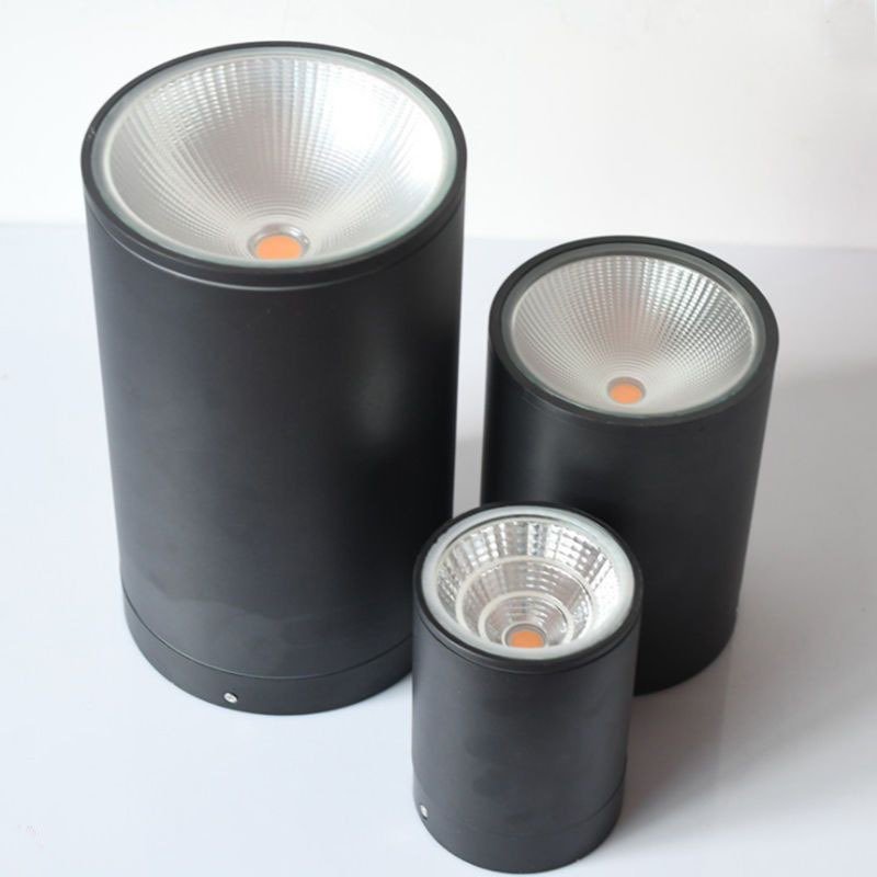 Modern outdoor IP65 Aluminium IP65 Outdoor Round Ceiling Light Waterproof 10W Surfaced Mounted LED Down Light