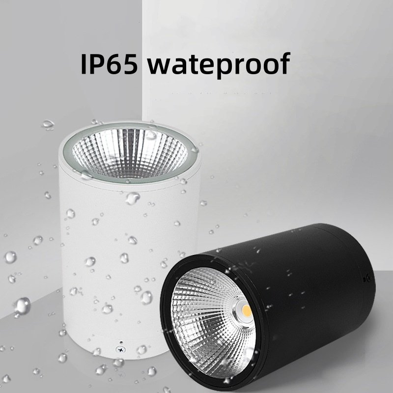 Modern outdoor IP65 Aluminium IP65 Outdoor Round Ceiling Light Waterproof 10W Surfaced Mounted LED Down Light