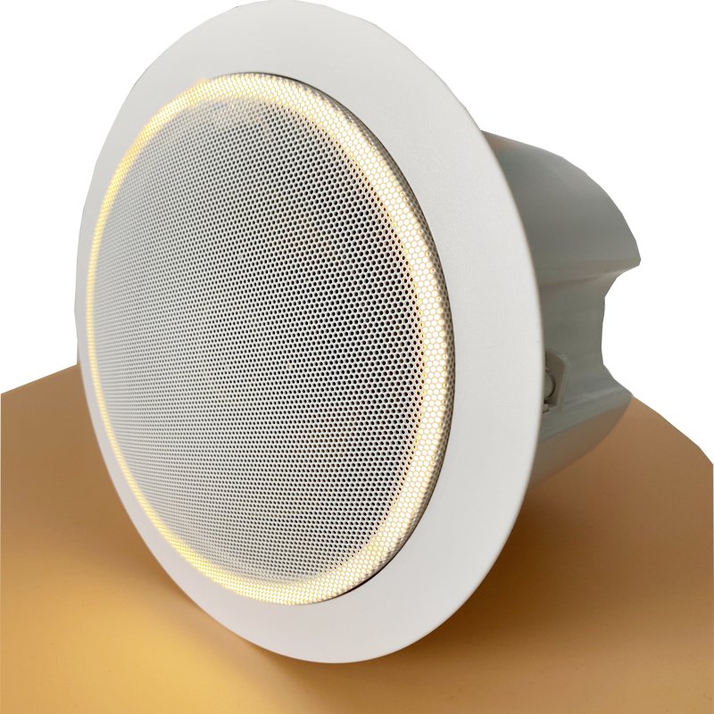 IP ceiling speaker 30W Professional audio public address PA system ceiling speaker