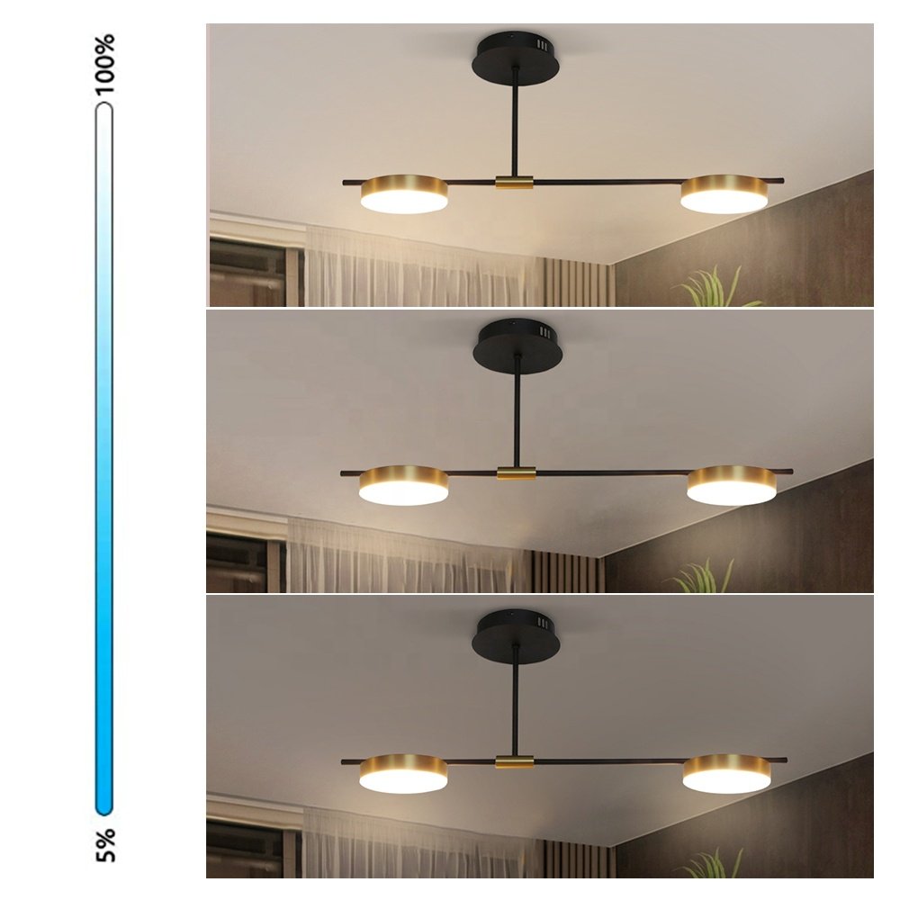 Sunsir SKD ceiling lighting interior pendant lamps Thyristor dimming smart light